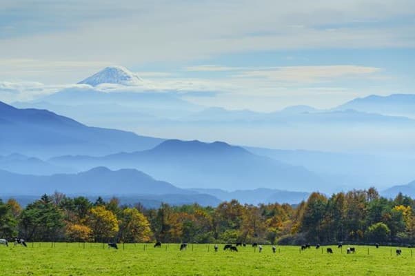 NTTアノードエナジーらと北杜市、脱炭素実現へ連携協定