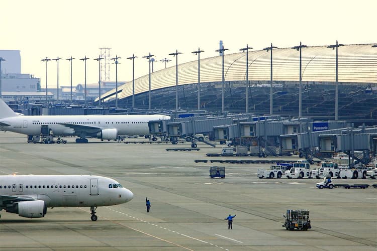 関空周辺の藻場で「Jブルークレジット」認証　関西エアポート