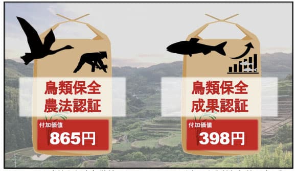 東北大ら、生物多様性に配慮したコメの付加価値を調査　記載する種類で差