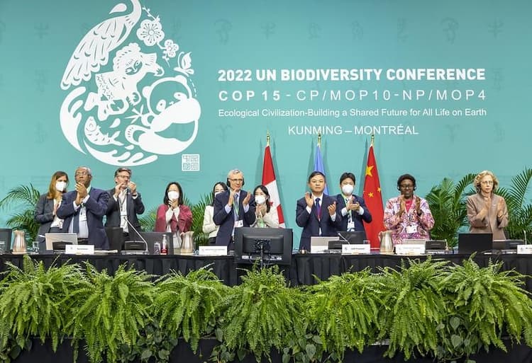 生物多様性条約COP15、30年までの世界目標採択　30by30盛り込む