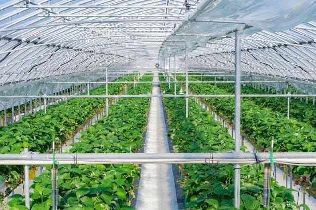 クボタ、ハウス栽培CO2削減プロジェクトでJ−クレジット認証を取得