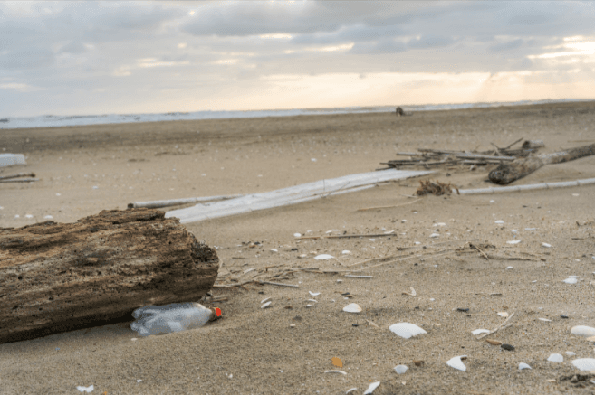 UNEP、23年世界環境デーはプラ汚染がテーマ　主催はコートジボワール