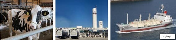 商船三井、家畜糞尿由来のバイオメタンをLNG燃料船に活用　共同検討開始