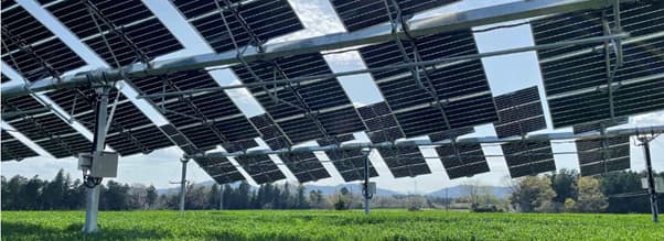 追尾式の営農型太陽光発電拡販へ協業　ノータス社とサンフロンティア不動産