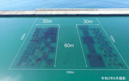 北海道の港湾でCO2貯留・火力発電所ゼロカーボン化など検討　北電と北海道