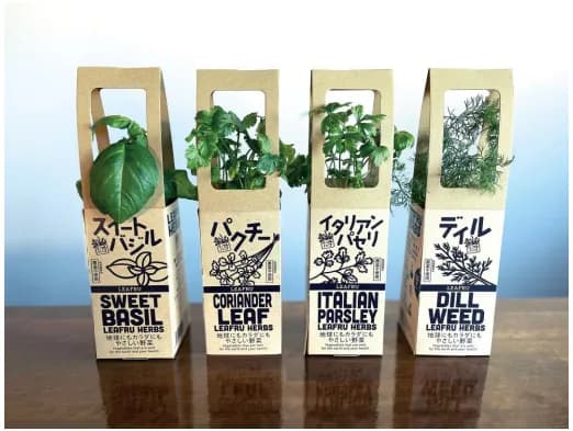 再エネ100%で栽培したハーブを販売　ヨークベニマルとプランツ