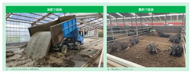 家畜のふん尿を微生物が急速処理して再利用　自治体への展開を検討