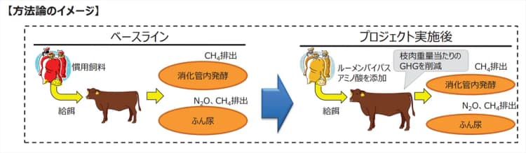 「牛の生産性を高める給餌」でJ－クレジット創出　げっぷ等由来のメタン削減で