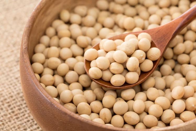 代替食料がGHG排出を削減し、気候変動対策に寄与　UNEP