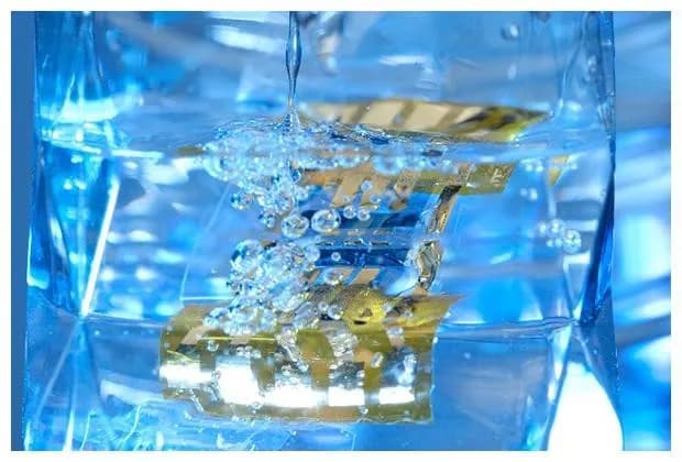 理研ら、水中で60分以上の駆動可能な超薄型有機太陽電池を開発