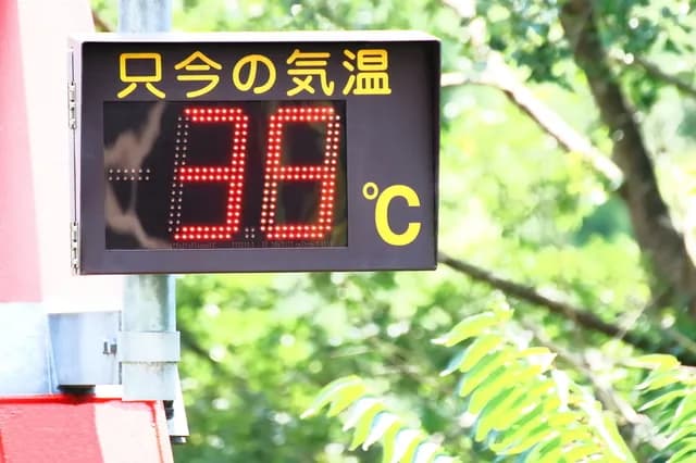 温暖化で夏の死亡率が世界的に上昇、今世紀後半ほど顕著に　東大らが発表