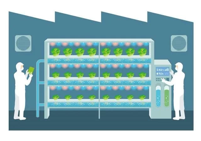 荏原製作所、米・農業系スタートアップに出資　屋内型植物生産工場の実現へ