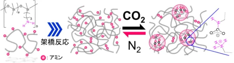 岐阜大学、CO2で硬さ・柔らかさをコントロールできる新素材を開発　