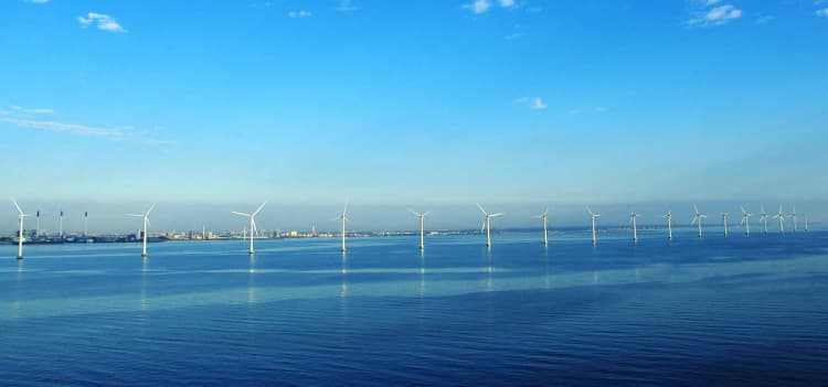 環境省、洋上風力発電事業での環境配慮で新制度　在り方について答申公表