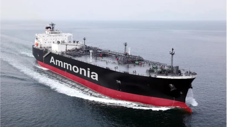 アンモニア燃料船の「N2O除去」「燃料漏えい対策」装置開発へ　GI基金