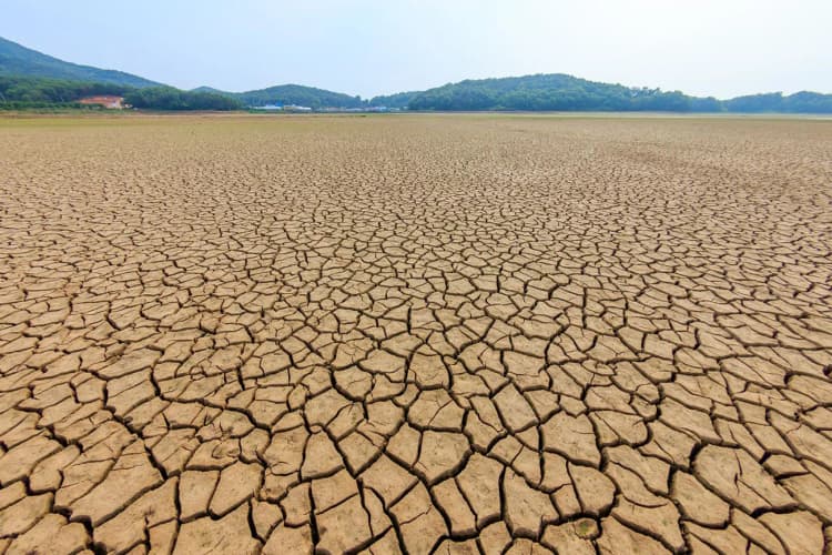 23年のCO2排出量は過去最多も、クリーンエネの普及で増加率は減少　IEA