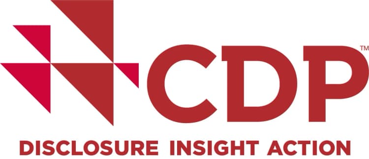 CDP、新たな開示プラットフォーム発表　環境課題を1つの質問書に集約