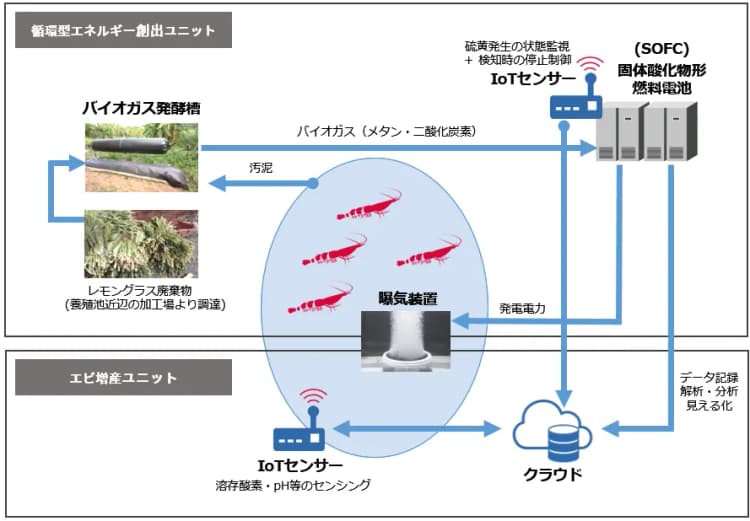 エビ養殖の課題をバイオガスとIoTで解決、裕幸計装らがベトナムで実証