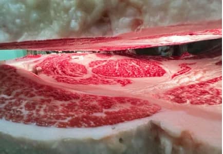 慶應大学ら、メタン抑制飼料で育てた「エシカル和牛」初出荷　環境評価を検証