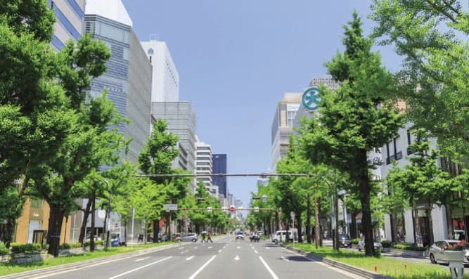 大阪・御堂筋を脱炭素ストリートに！　幹線道路を活用した一大プロジェクト