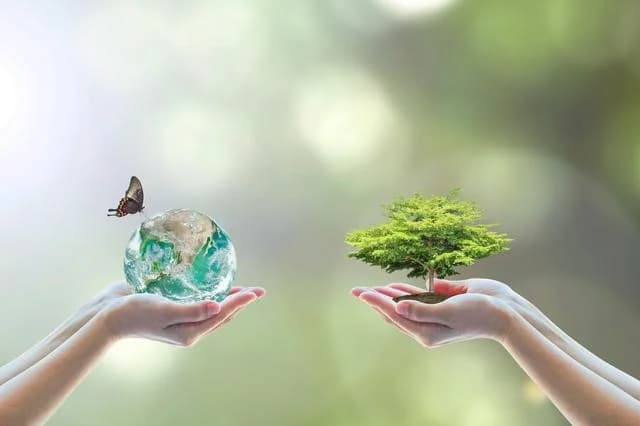 三菱地所ら、生物多様性を客観的に評価する6つの手法を公開