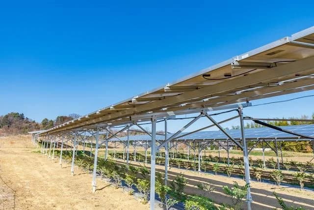 エコスタイル、農業法人設立　ソーラーシェアリング事業開始