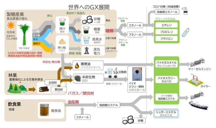 DM三井製糖、農工融合型GX技術の開発で東大の「COI－NEXT」に参画