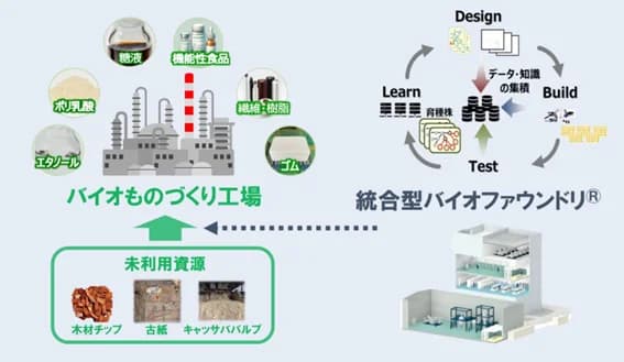 王子HDら6社、木質等の未利用資源を活用したバイオものづくりを開発・実証