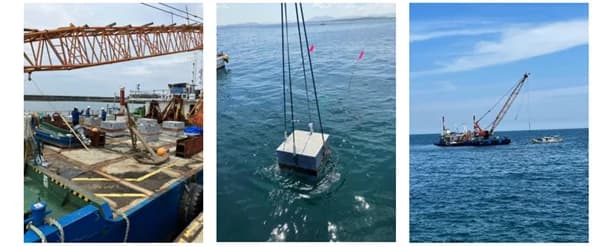 東洋建設ら4者、藻礁ブロック開発の海域実証を九州の海域でも開始