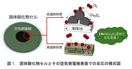 東北大、固体酸化物セルのコバルト使用量を削減　水素製造コスト削減に貢献