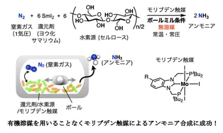 東大と京大、有機溶媒使わない「メカノケミカル」でアンモニア合成　世界初