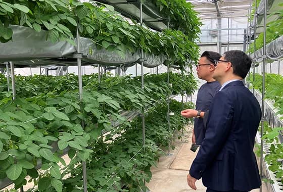 CO2を大豆育成に活用　佐賀大学ら産官学で推進、24年度は研究規模を拡大