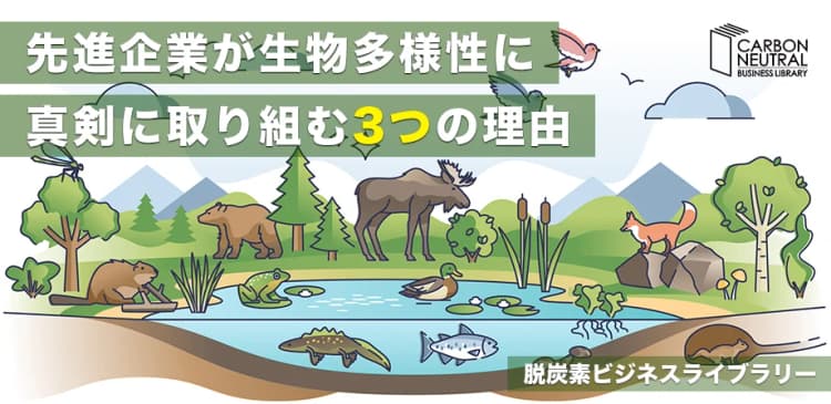 先進企業が生物多様性に真剣に取り組む3つの理由  ―TNFD・国際枠組みへの表面的な対応は、企業衰退を招く―