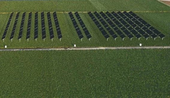 出光興産、太陽光追尾型ソーラーシェアリング建設　稲作と発電の両立を実証