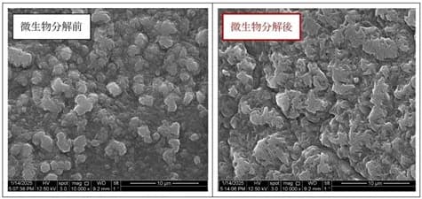 ポリウレタンを分解する菌を発見、慶應大と三菱電機先端技術総合研究所