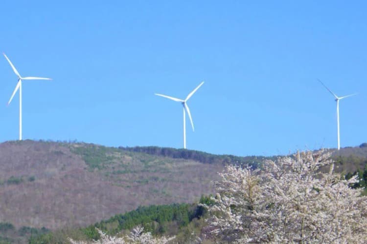東北電力、岩手県遠野・GPIグループの113MW風力発電事業に出資参画　