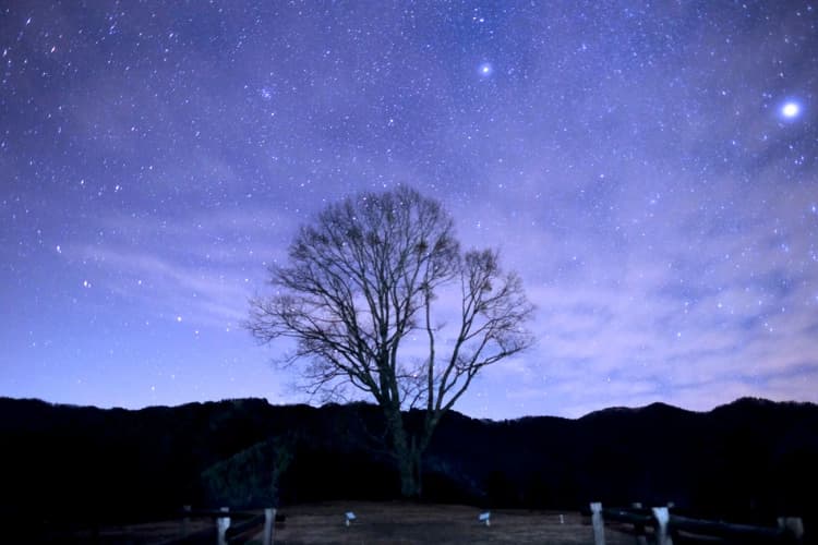 水辺や星空など地域特有の自然・文化で観光を推進へ　10のモデル事業選定