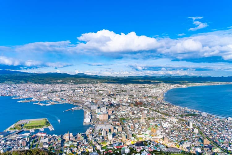 函館市とソフトバンクグループ社、海洋や森林資源のCNで連携