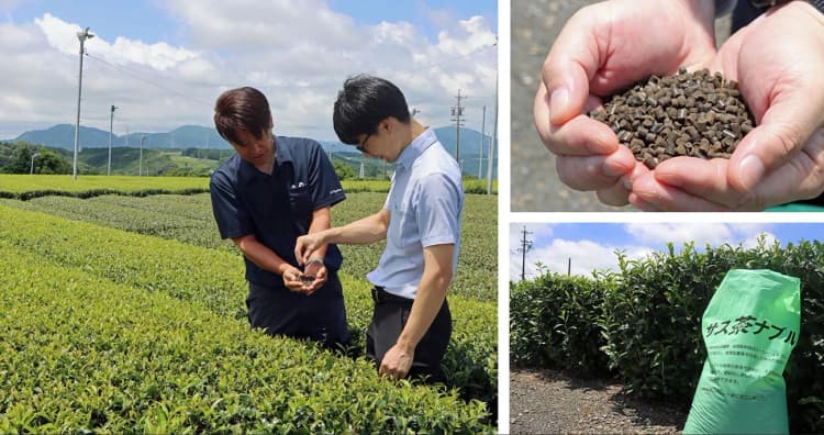 伊藤園、茶殻とコーヒー粕を混合しバイオ炭を製造　栽培した茶原料化