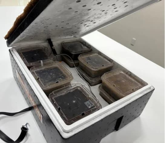 微生物燃料電池をセンサーや遠距離通信に活用、みかん畑で検証　四国電力など