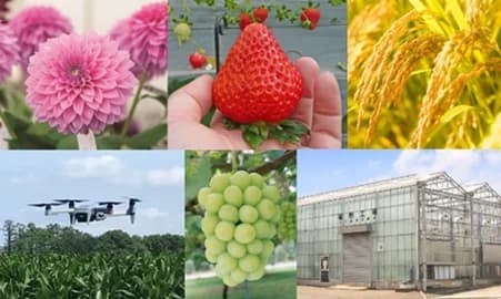 日本の農産物の競争力UP　JALと農研機構、高効率輸送・農業DX等で協業