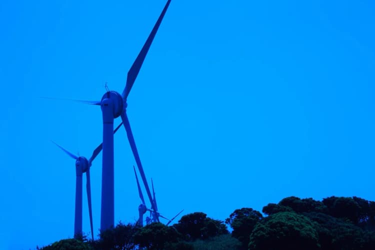 「風力発電70件は乱開発だ」　日本熊森協会、北海道知事に規制条例制定を要望