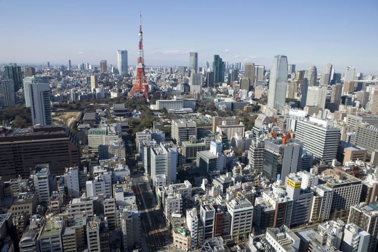 グリーン事業で勝てない理由―日本企業の苦手と得意を見つめなおす
