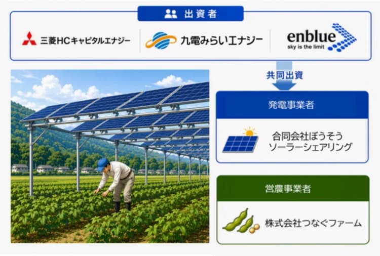 九電みらいエナジーら3社、営農型太陽光発電事業で新会社　2027年春稼働