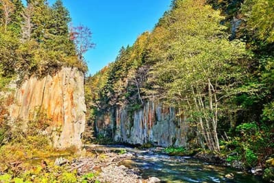 北海道の森林由来J－クレジット、2026年度最終入札　上限3万3000t