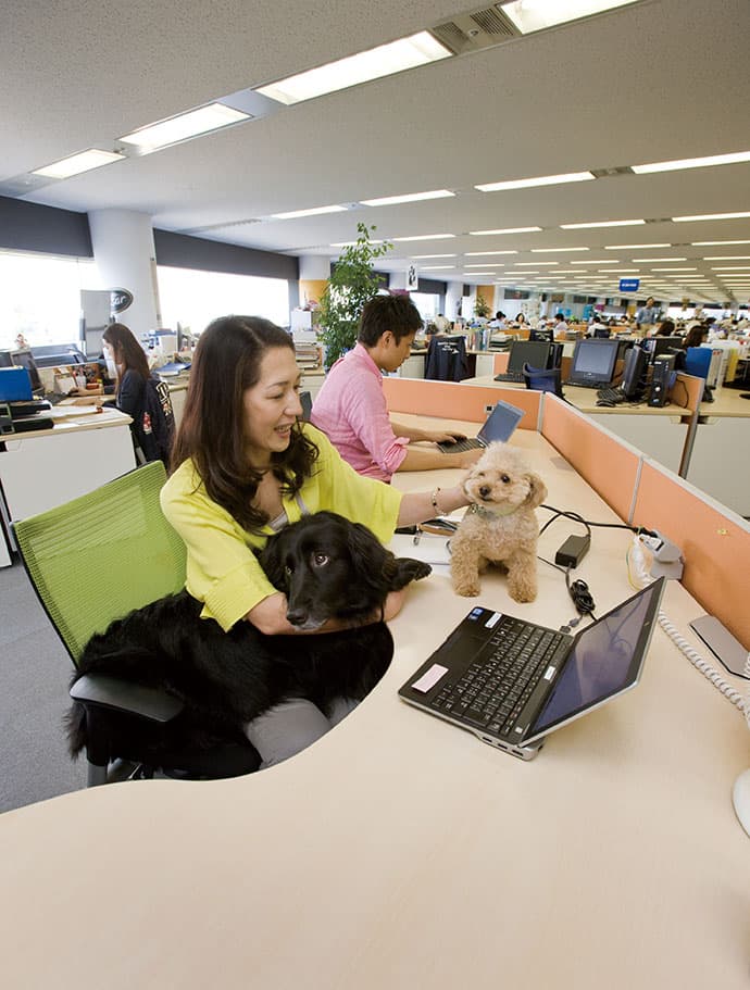 犬&ネコが社内を自由に闊歩する、マース ジャパンのオフィスに潜入