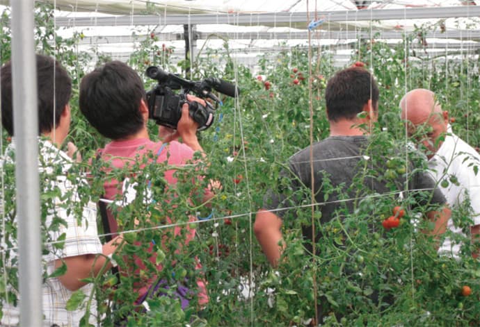 ドバイの砂漠で野菜が育つ!?「仕掛けて待つ」BtoB企業の注目の集め方