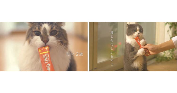 「商品」「猫」「歌」3要素のみのCMを提案