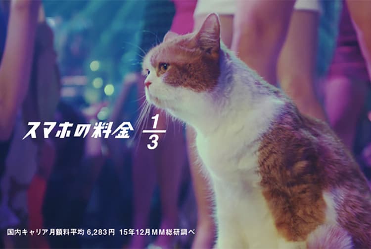 ふてぶてしいネコで他のキャリアCMと一線画す
