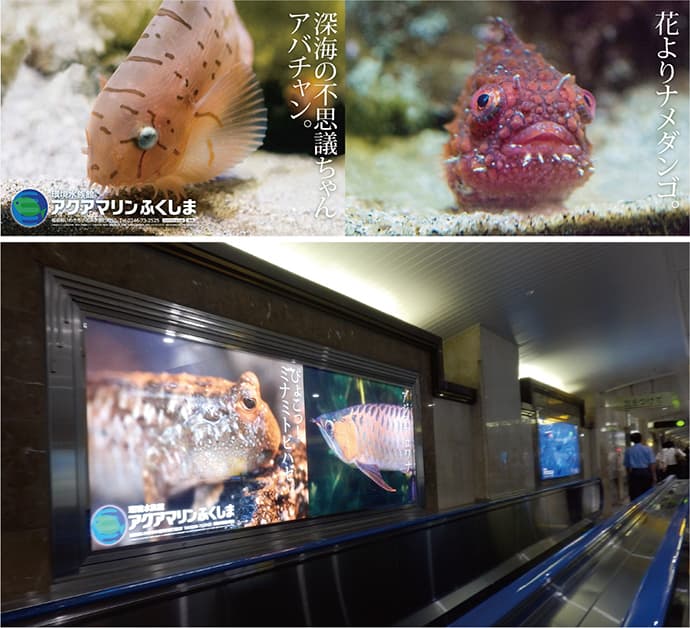 「動く歩道」沿いの水族館広告で入館者数123%-OOHの秀逸事例42連発